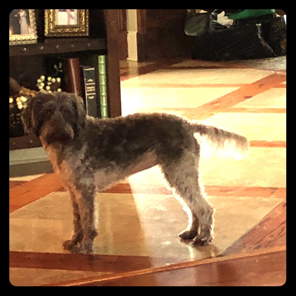 Meet your Posher, Mindy